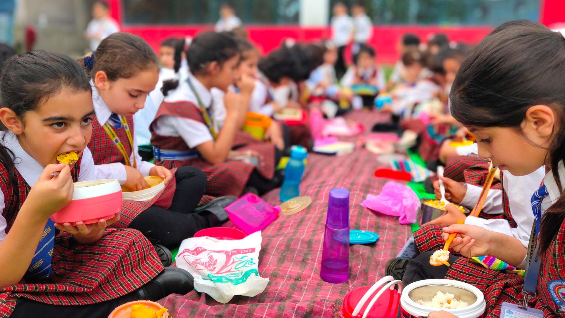Ted